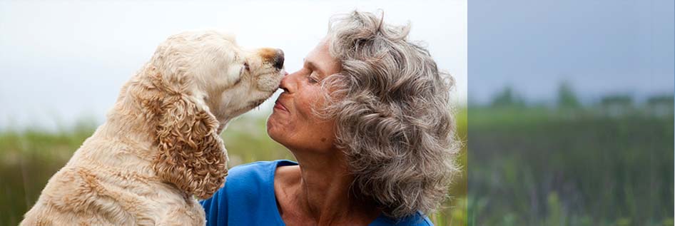 Animal Communication - More Harmony with Your Pet - Nancy Marsh